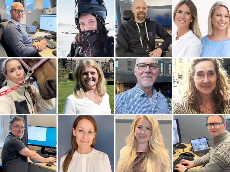 Tekint bygger vinnande lag